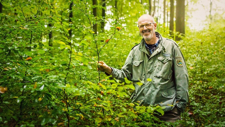Guarda Florestal – tem como se especializar nessa área?